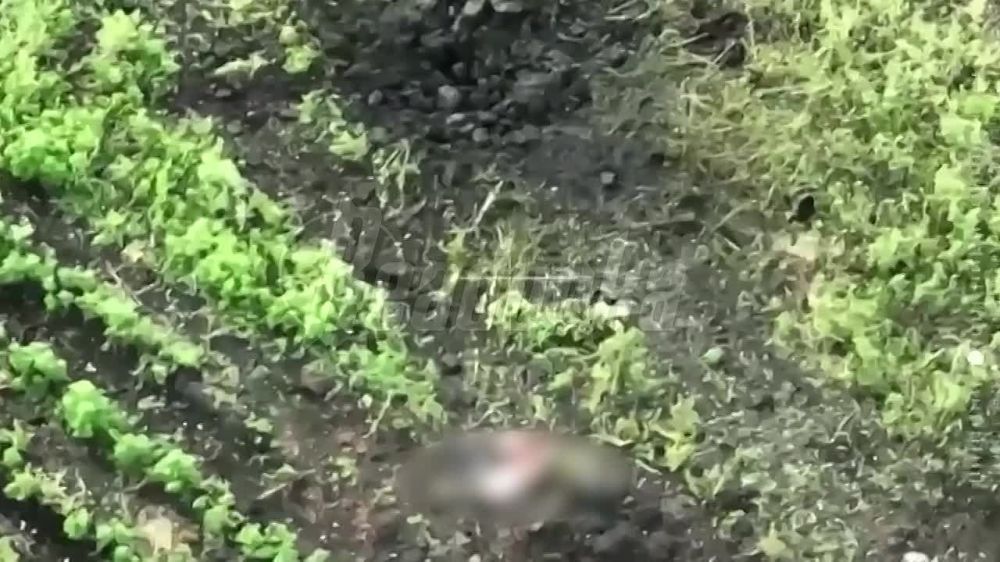 ����� ��������� ����� ���� ���������� � ��� �� ��������������