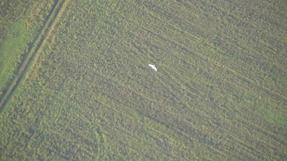  :   -   ,   ,       ,     