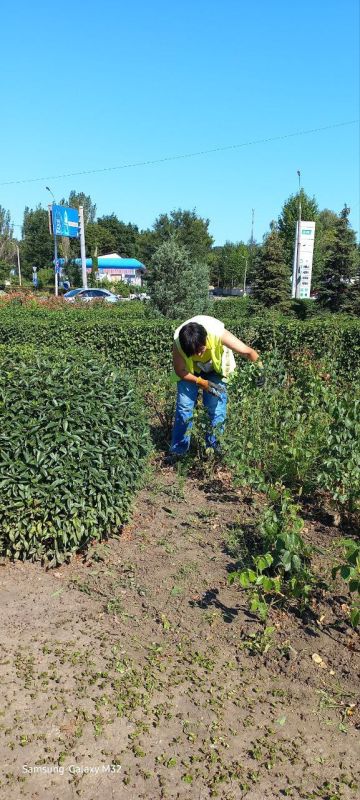 Василий Ткачук: Сегодня сотрудниками МУП АГД "ЗЕЛЕНСТРОЙ КАЛИНИНСКОГО РАЙОНА" начаты работы по покосу травы по бульвару Шахтостроителей и уборке цветочных клумб по проспекту Ильича в Калининском районе г.Донецка