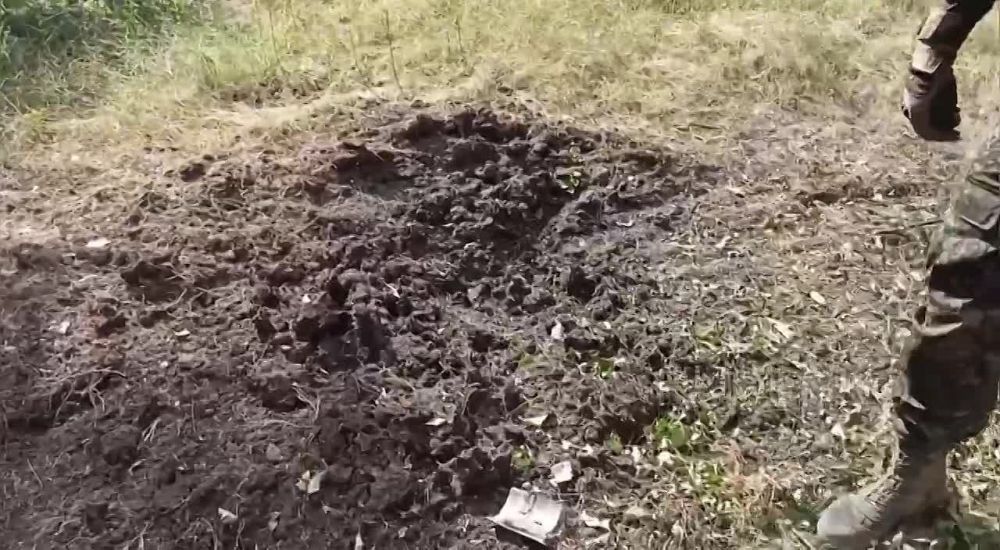 ������ �������: ��� ��������� ������� ������������� ������ �. ������� � ����������� ���������� ���������� �������