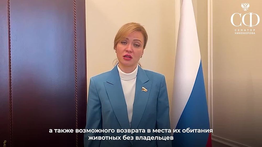������� ����������: ������� ������ �������������� ������������� ������� ������, ���������� � ���������� � �������, ������������, ���������� � �������� ������������� ��������� �������� � ����� �� ��������