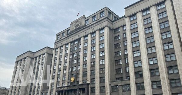 Госдума поддержала поправку о введении серебряных медалей для выпускников школ