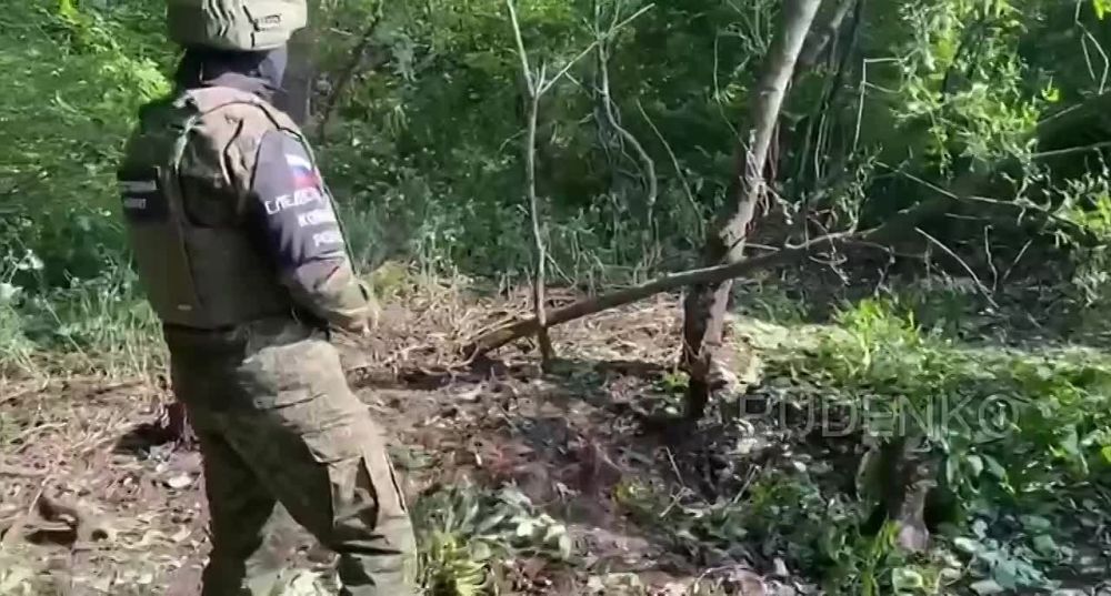 � ���������� ���������� �������� ������������ �������������� ������� ���������� ������ �. �������� ����� ���� ������ ������