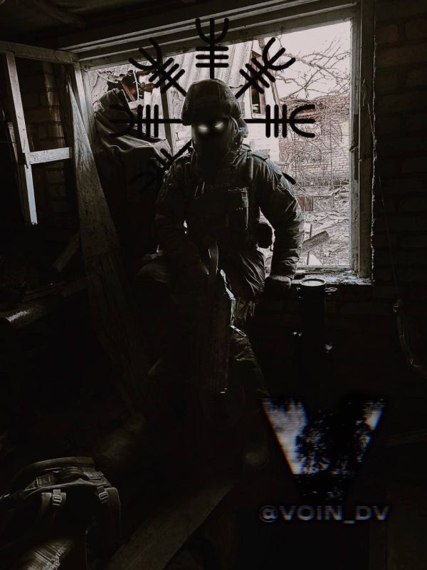 ����� �����: ���������� �� ����������� � ����-�������� ������������