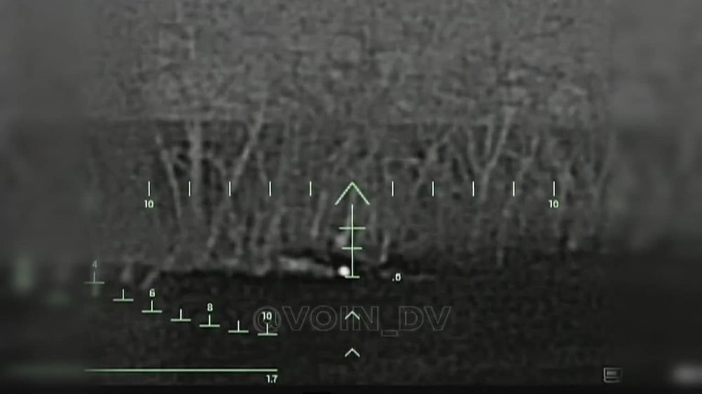 ����� �����: �������� 14 ������� ��� ����������� ������������� ���������