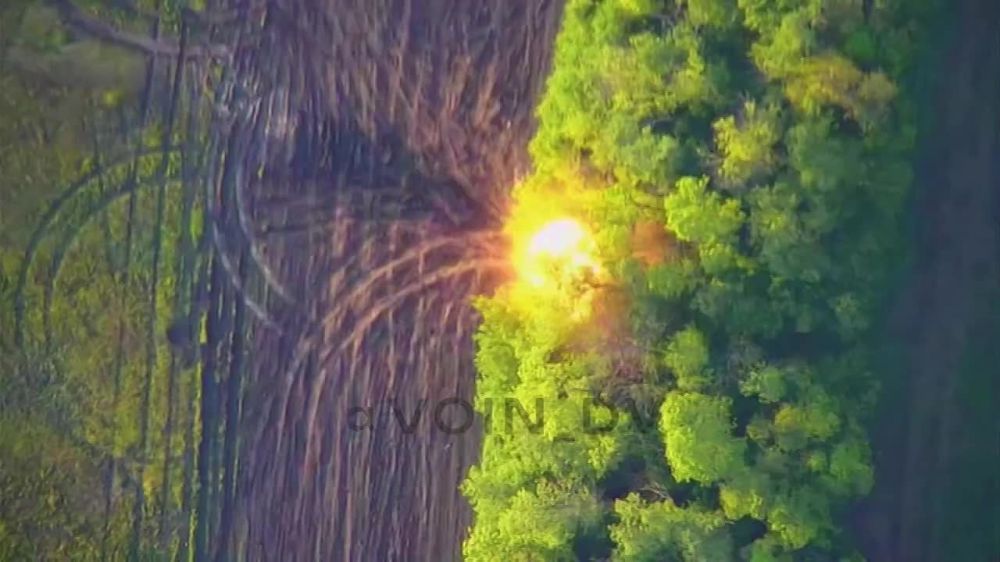 ����� �����: �������� "�������" 14 ������� ��� �������� �������������� ������ ����������