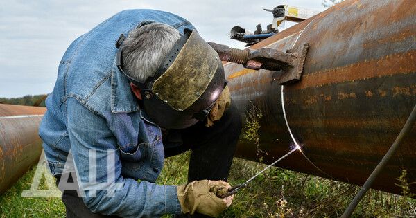 ������ ��������� �������������� ����������� ��������-����������