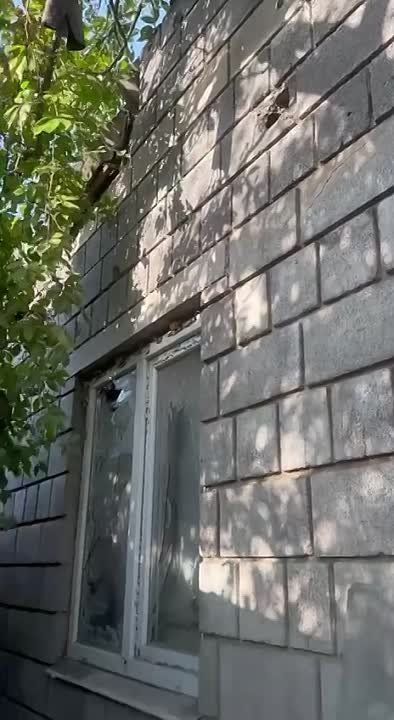 ��� ��������� ������ ������� ��������