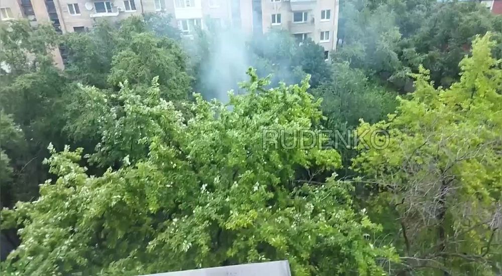 ������ �������: ����� �������. ���������� ���. ������� ������ ����� �� ������������� ��������� �� ���� ����� �����