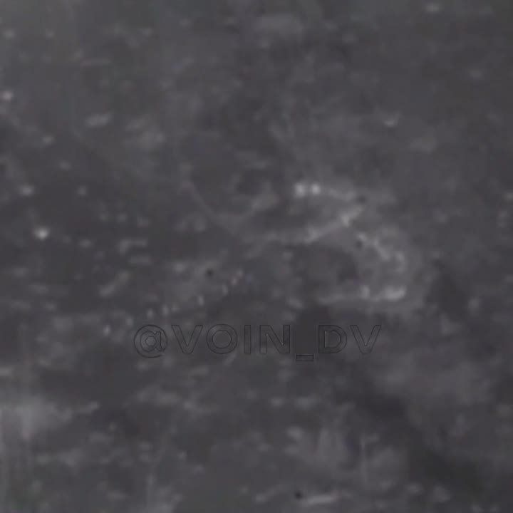 ����� �����: ������ ���������� �� ��������� ����� ���� ���. ������������ ���������� �� ������� 14-� ������� ���