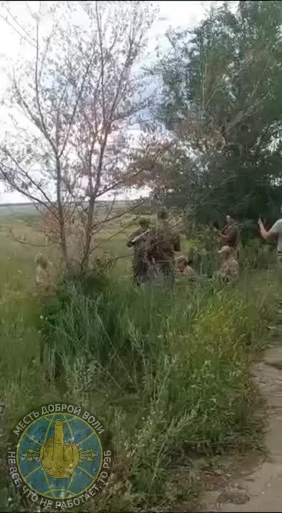 ������� ��������� �� ������ ���������� ����������