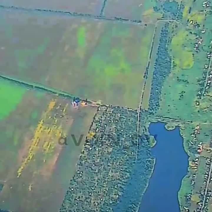 ������� ����������� [V] ������ ������� ������ ���������� �� ����-�������� �����������