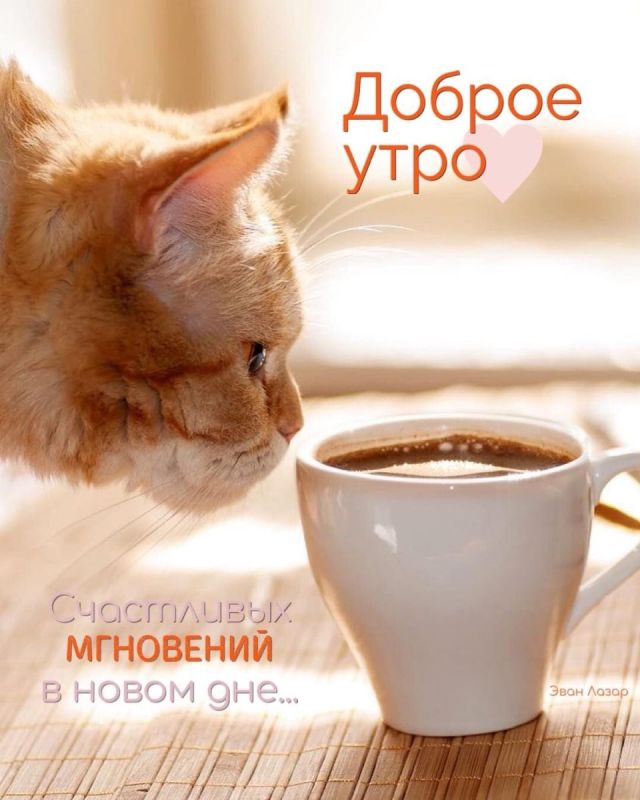 ��������� ����������� � ������ � �������, ����� ��� ������� ����������� � ���� ����������
