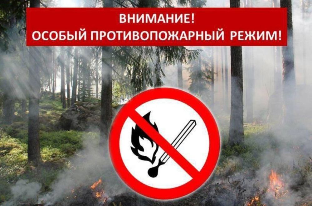 ���� ������: � ����� � ������� ������ ������������� �������, ������������� ������������� ������ �. ������� � ��� ��� ��������� ���� ������� � ����������� ��������� ��������������� ���� � �����������