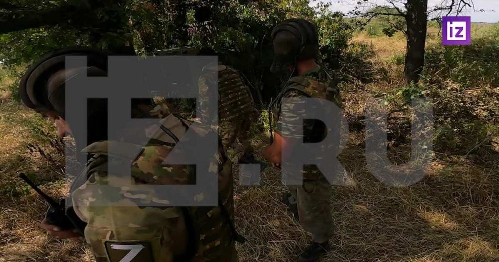 "��������" �������� ������ ������������� �� �� ����������� �����������