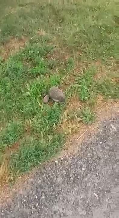������� ������ � ����� , � ����!?