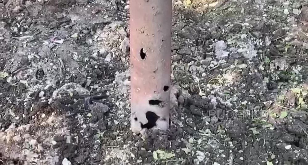 ������ �������: ������� ������� ����� ���� ������������� ������� ������ ������� ��������� ������ �. �������