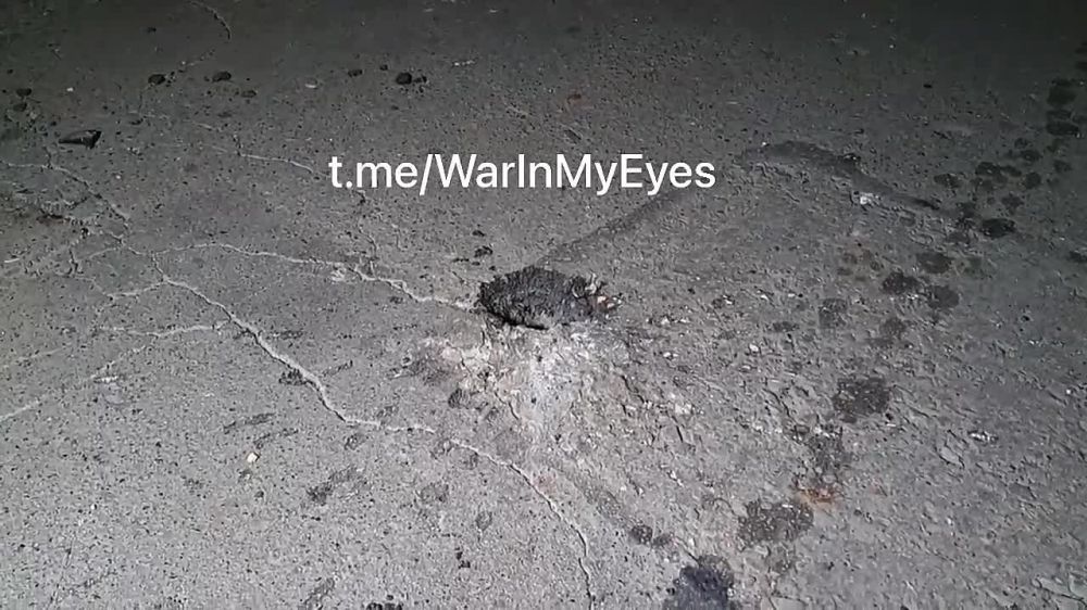 ����������� �������� ��������� ������ ������� ���������� ���������� ������������