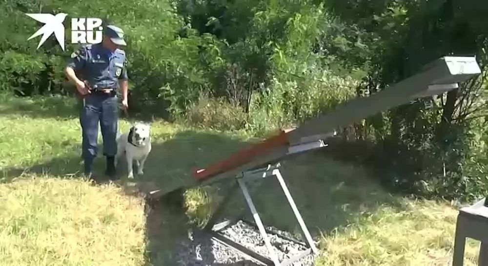 ��������� ������ ��� ��� ����� ������������� �� ������������ ������� ��������� ����