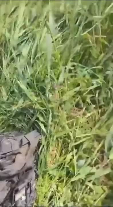 Евгений Лисицын: Осторожно, жесткие кадры!. Украинские боевики на американском БТР М113 попали в засаду к нашим спецназовцам на Южно-Донецком направлении