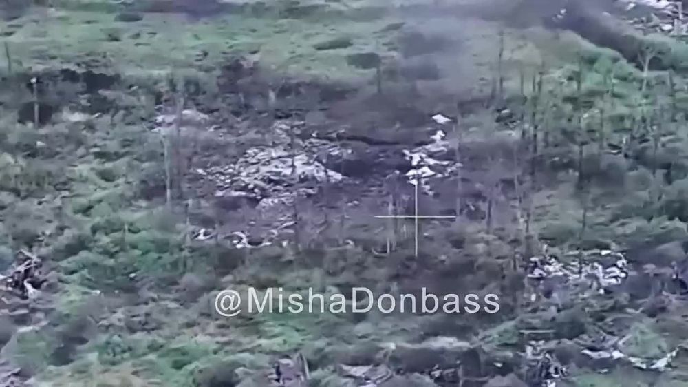 Евгений Лисицын: Российские подразделения взяли очередной опорный пункт под Красногоровкой на Донецком направлении