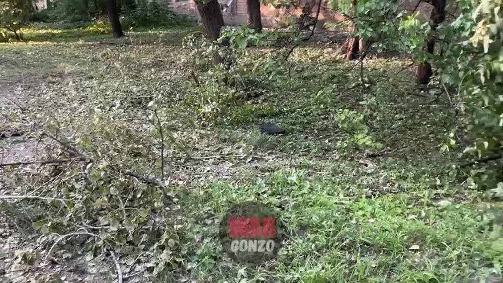 WarGonzo: ��������� � ����� ������������ ����� ������ �������