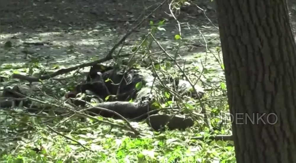 ������ �������: �� ����� ������ ����������� ���������� �������� �� ������� �������� ������ ������� ��� ����� ���������� ������ � ������� �������� ������ � ��������� ������ ������� 24�