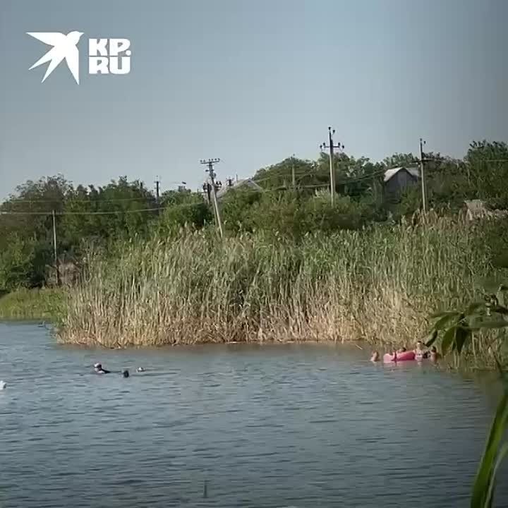 ������� ����� � ����������� � ������� �� ����� �� ����������: �� �������� ������� ���������� ��� ������ �������