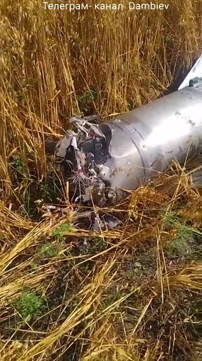 Чингис Дамбиев: Комбайнеры в Донецкой Народной Республике обнаружили на пшеничном поле российскую авиационную ракету Р-37М класса "воздух-воздух" большой дальности