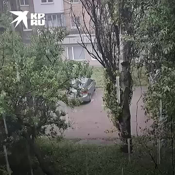 ��� ������ ��������, ����������� ���������� � ����������� ������: ����������� ������� ����� � ������� 11 �������