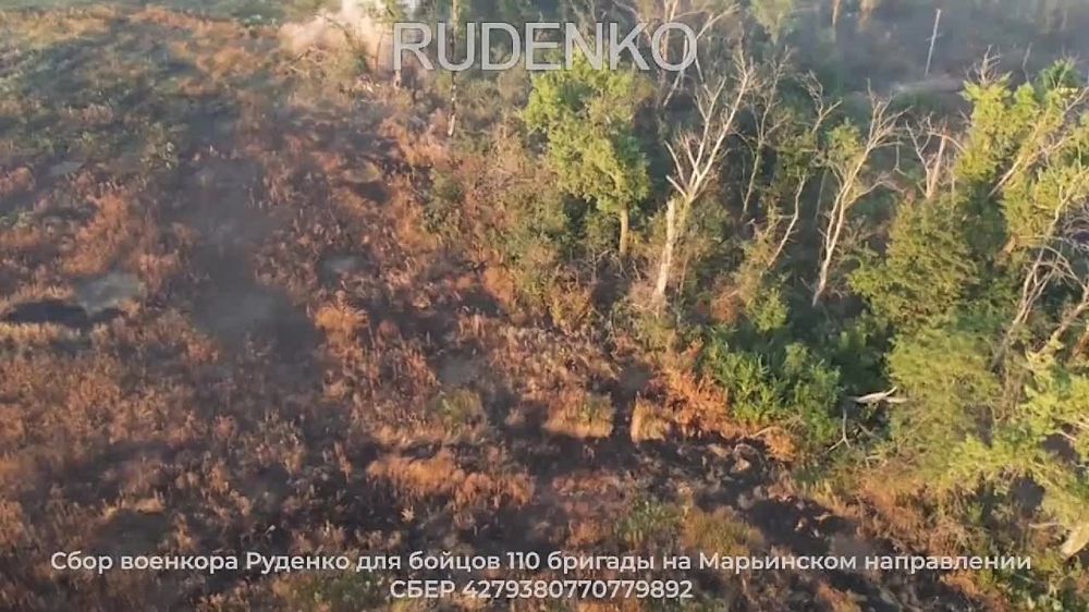 ������ �������: ������� ���� �� ����������� "�����"