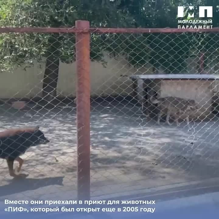 � ������ ��������� �� ������ ����, �� � ��������!
