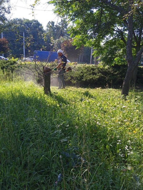 Василий Ткачук: Сегодня сотрудниками МУП АГД "ЗЕЛЕНСТРОЙ КАЛИНИНСКОГО РАЙОНА" ведётся покос травы по пр-ту Ильича в Калининском районе г. Донецка