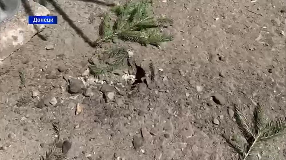 � ������������ ������ ������� ������� ���� ������ ��� ������� ���