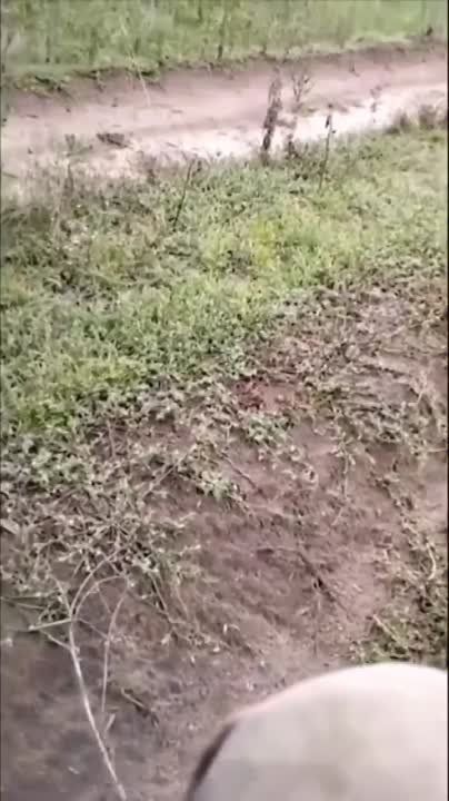 � ��������, ��� � ����������� � ���� ���� �����, ������ ��� ������