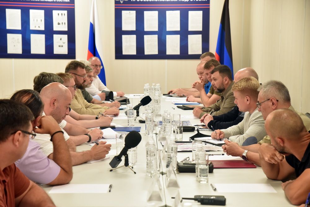 Денис Пушилин обсудил с российскими экспертами вопросы разработки стратегии развития территорий приазовского побережья