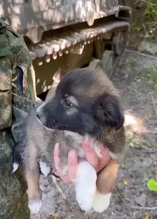 ��������� �� ������!. �������� - ������� �� ���������� �����: