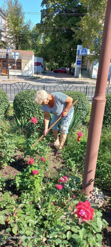 Василий Ткачук: Сегодня сотрудниками МУП АГД "ЗЕЛЕНСТРОЙ КАЛИНИНСКОГО РАЙОНА" ведутся работы по благоустройству клумб по пр-ту Ильича в Калининском районе г. Донецка