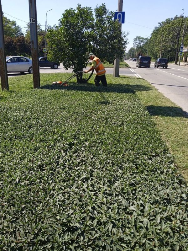 Василий Ткачук: Сегодня сотрудниками МУП АГД "ЗЕЛЕНСТРОЙ КАЛИНИНСКОГО РАЙОНА" продолжается покос травы по пр-ту Ильича в Калининском районе г. Донецка