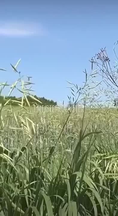 ����������� ����� �������� �����