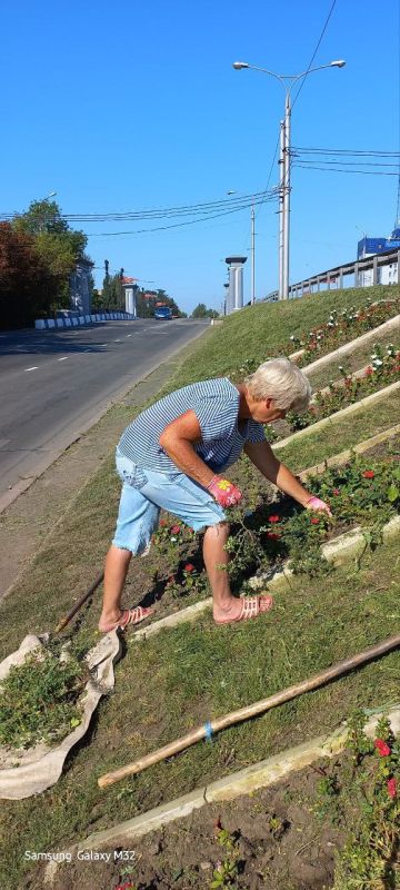 Василий Ткачук: Сегодня сотрудниками МУП АГД "ЗЕЛЕНСТРОЙ КАЛИНИНСКОГО РАЙОНА" ведутся работы по благоустройству пр-ту Ильича в Калининском районе г. Донецка