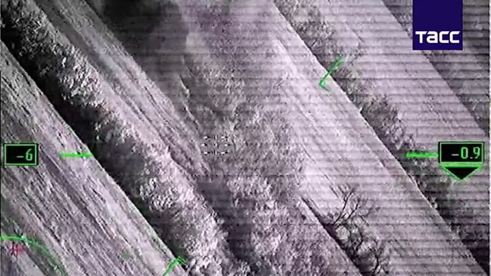 "�����, �����... ������!": "���������" ��������� ��������� ����������� �� ����-�������� �����������