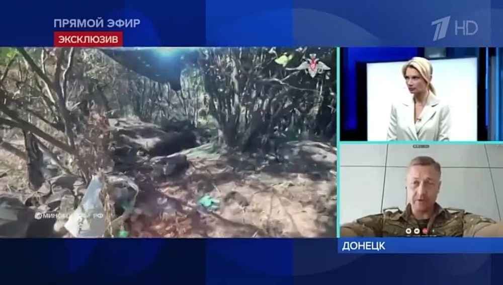 Ян Гагин, советник врио главы ДНР: