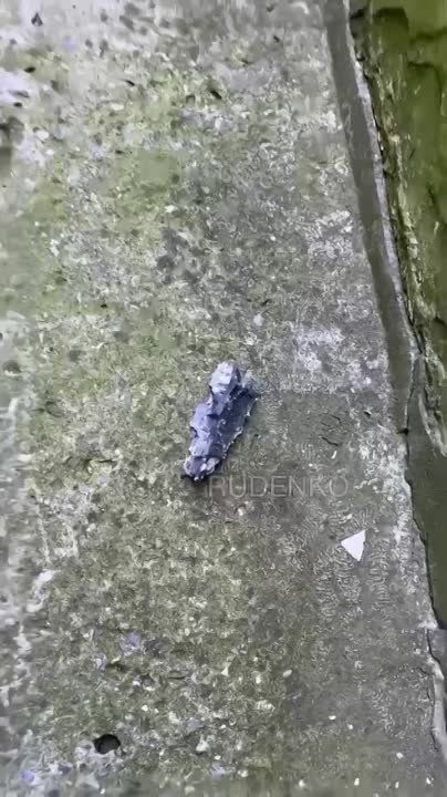 ��� ������ �������� ����� �������