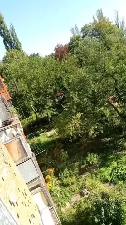 ������ �������: �������� ����� � ������� ��� ������� ���������