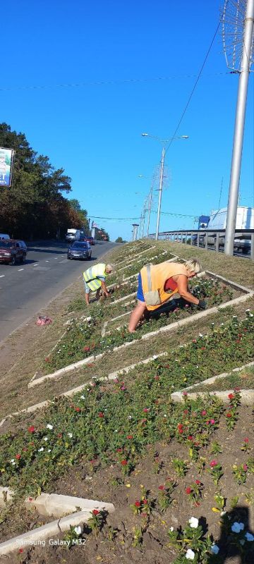 Василий Ткачук: Сегодня сотрудниками МУП АГД "ЗЕЛЕНСТРОЙ КАЛИНИНСКОГО РАЙОНА" ведутся работы по благоустройству пр-ту Ильича в Калининском районе г. Донецка