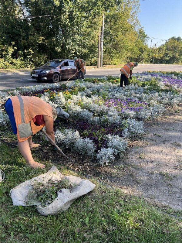 Василий Ткачук: Сотрудники МУП АГД "ЗЕЛЕНСТРОЙ КАЛИНИНСКОГО РАЙОНА" ведутся работы по благоустройству пр-ту Ильича (Макеевский въезд) в Калининском районе г. Донецка