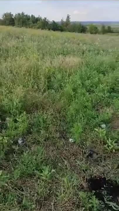 ��������������.. ������������� ����������� ����� "������" �� ����-�������� ����������� �� �������������� � ��������� �������� � ����������� �������� ��� ����� 31-� ������� ������� ������ ��� � ������ ���������� ������ ��������������