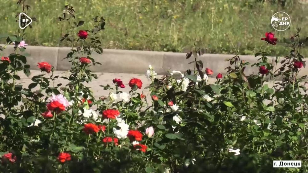 ������� ������ ������ ���. ����� � ������ ������ ��� ��������� ��������� �������������� ������������� ��������� �������...