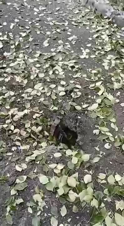 1 ��������. ������. ������� �� ���� ������